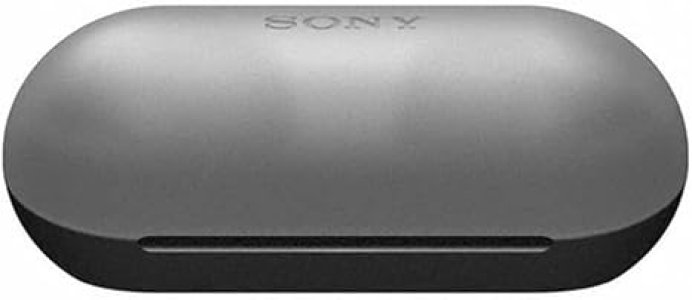 Sony WF-C500 Truly Wireless In-Ear Bluetooth Earbud Headphones