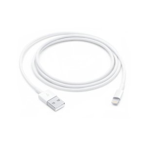 Lightning to USB Cable (1 m)