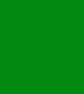 Visico Solid Color Background-Green (3 x 6 m)