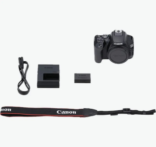 Canon EOS 250D DSLR Camera with 18-55mm f/4-5.6 IS STM Lens
