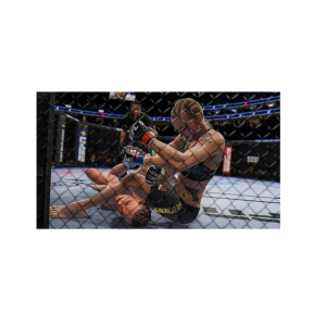 Electronic Arts UFC 4 PlayStation 4 Game