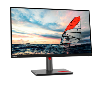 Lenovo ThinkVision P25i-30 24.5" FHD Monitor-63F4MAT1UK