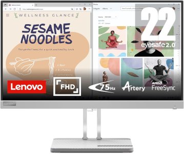Lenovo L22e-40 21.45" FHD Monitor-67AFKACBAE