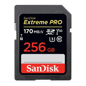 SanDisk MicroSD 10 100MB/s 256GB SDSQUNR-256G-GN3MN