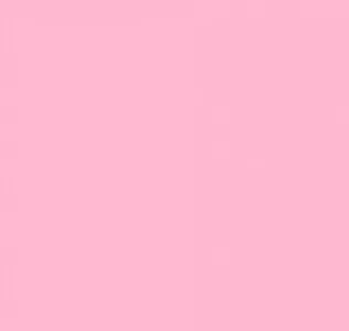 VISICO SOLID COLOR BACKGROUND-INFANT PINK (3 X 5 )