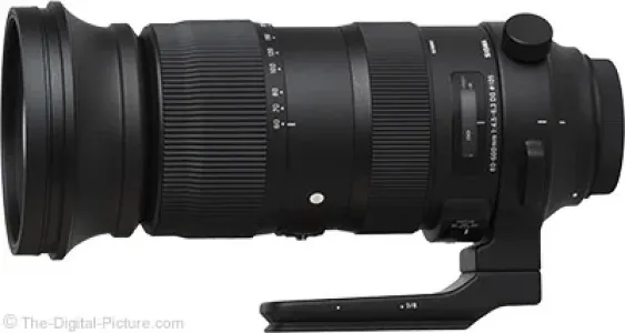 Sigma 60-600mm f/4.5-6.3 DG OS HSM Sports Lens for Canon